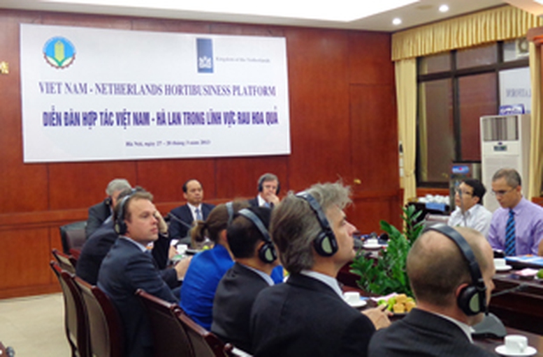 Hà Lan hỗ trợ kỹ thuật nhân giống hoa